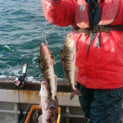 第八平成丸 釣果