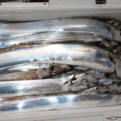 松本釣船２ 釣果