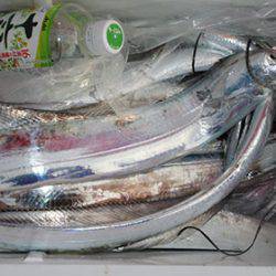 松本釣船２ 釣果