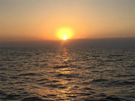 マタウマリンサービス 釣果