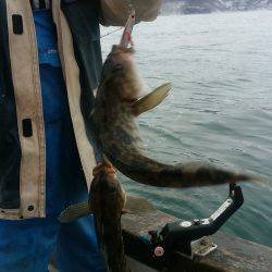 第八平成丸 釣果