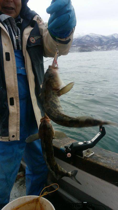 第八平成丸 釣果