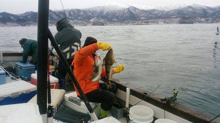 第八平成丸 釣果