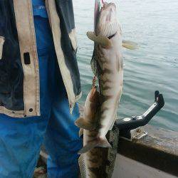 第八平成丸 釣果