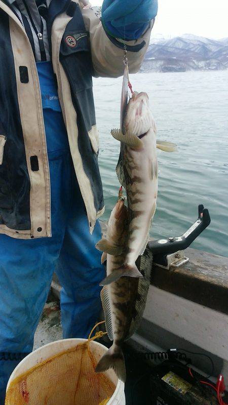 第八平成丸 釣果