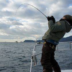 フルコンタクト 釣果