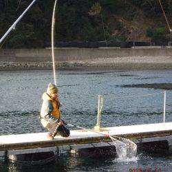 フィッシングパーク錦 釣果