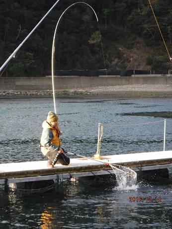 フィッシングパーク錦 釣果