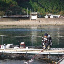 フィッシングパーク錦 釣果