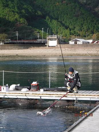 フィッシングパーク錦 釣果