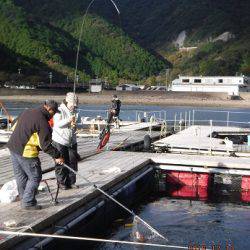 フィッシングパーク錦 釣果