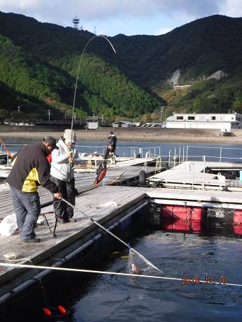 フィッシングパーク錦 釣果