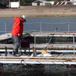 フィッシングパーク錦 釣果