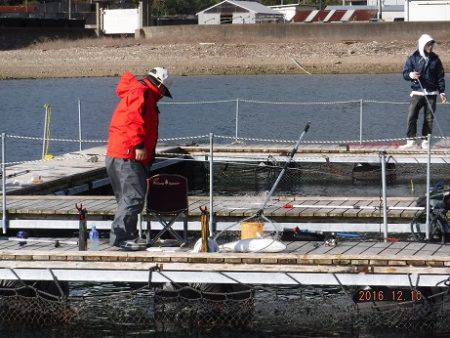フィッシングパーク錦 釣果