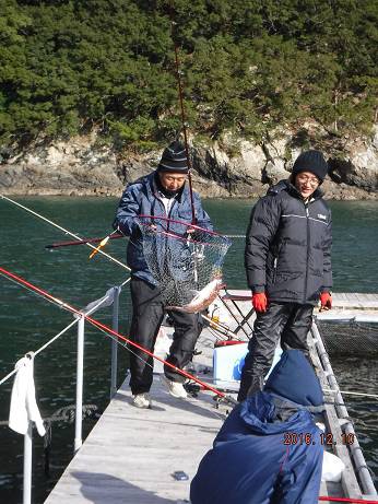 フィッシングパーク錦 釣果