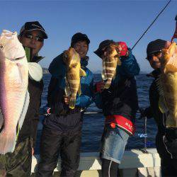 マタウマリンサービス 釣果