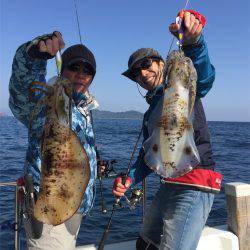 マタウマリンサービス 釣果