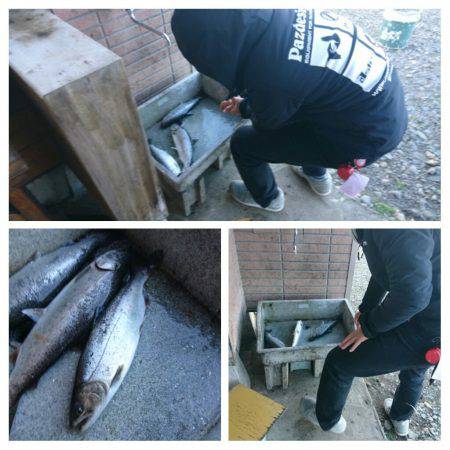 みどりフィッシングエリア 釣果