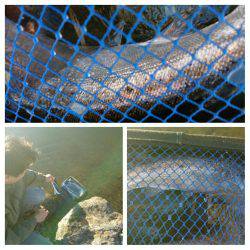 みどりフィッシングエリア 釣果