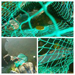 みどりフィッシングエリア 釣果