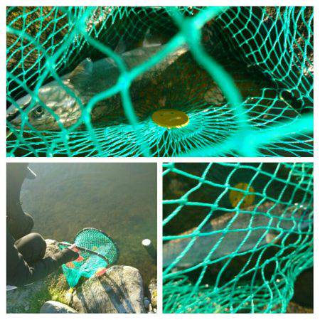 みどりフィッシングエリア 釣果