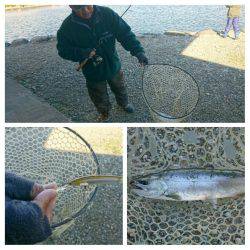 みどりフィッシングエリア 釣果