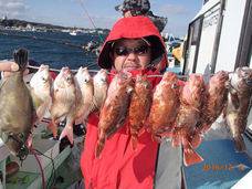 七福丸 釣果