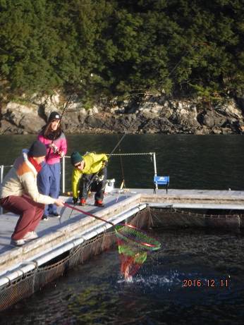 フィッシングパーク錦 釣果