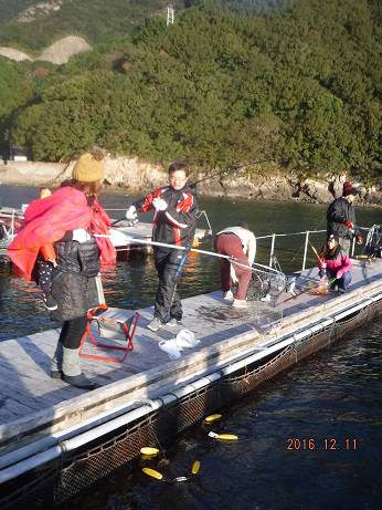 フィッシングパーク錦 釣果