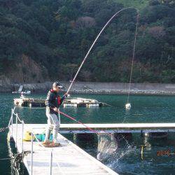 フィッシングパーク錦 釣果