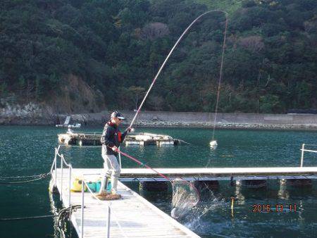 フィッシングパーク錦 釣果