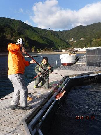 フィッシングパーク錦 釣果