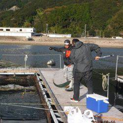 フィッシングパーク錦 釣果