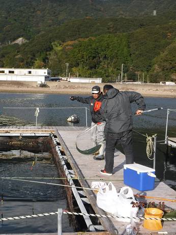 フィッシングパーク錦 釣果