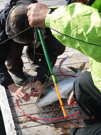 フィッシングパーク錦 釣果