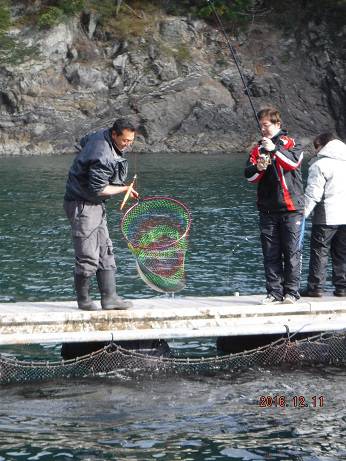 フィッシングパーク錦 釣果