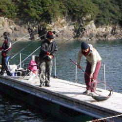 フィッシングパーク錦 釣果