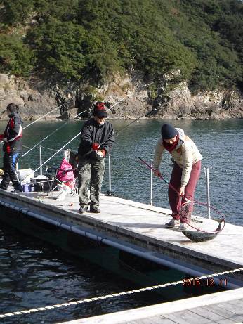 フィッシングパーク錦 釣果