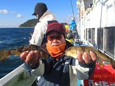 七福丸 釣果