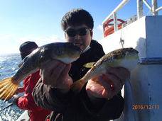 七福丸 釣果