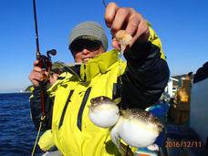 七福丸 釣果