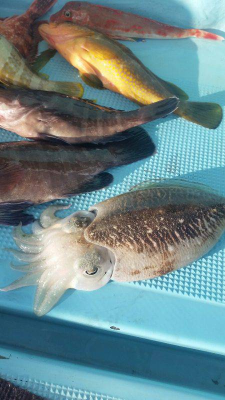 天童丸 釣果