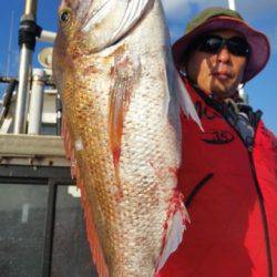 飛燕さくら丸 釣果