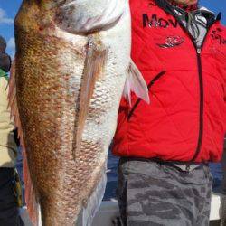 飛燕さくら丸 釣果