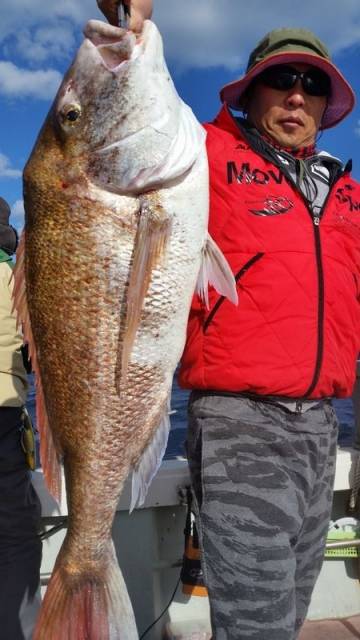 飛燕さくら丸 釣果
