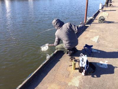 吉羽園 釣果