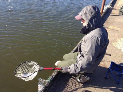 吉羽園 釣果