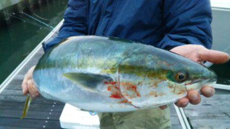 海運丸 釣果