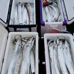 オーフリー 釣果