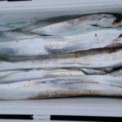 オーフリー 釣果